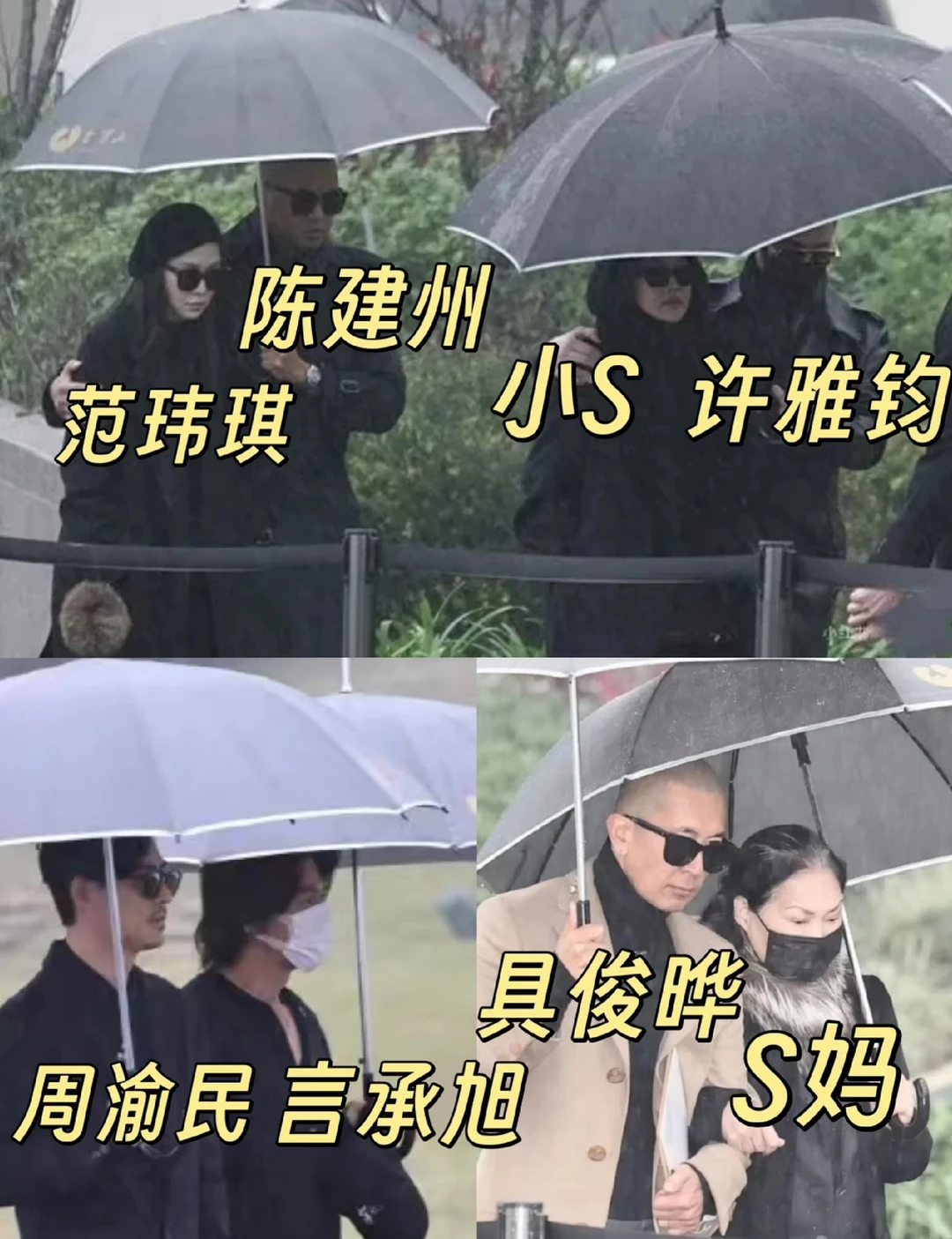 大S去世一周年❗亲朋好友都来看她了😭