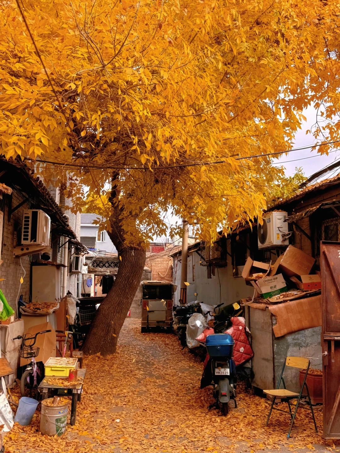 🍁下周来北京一定要走这条citywalk🍂