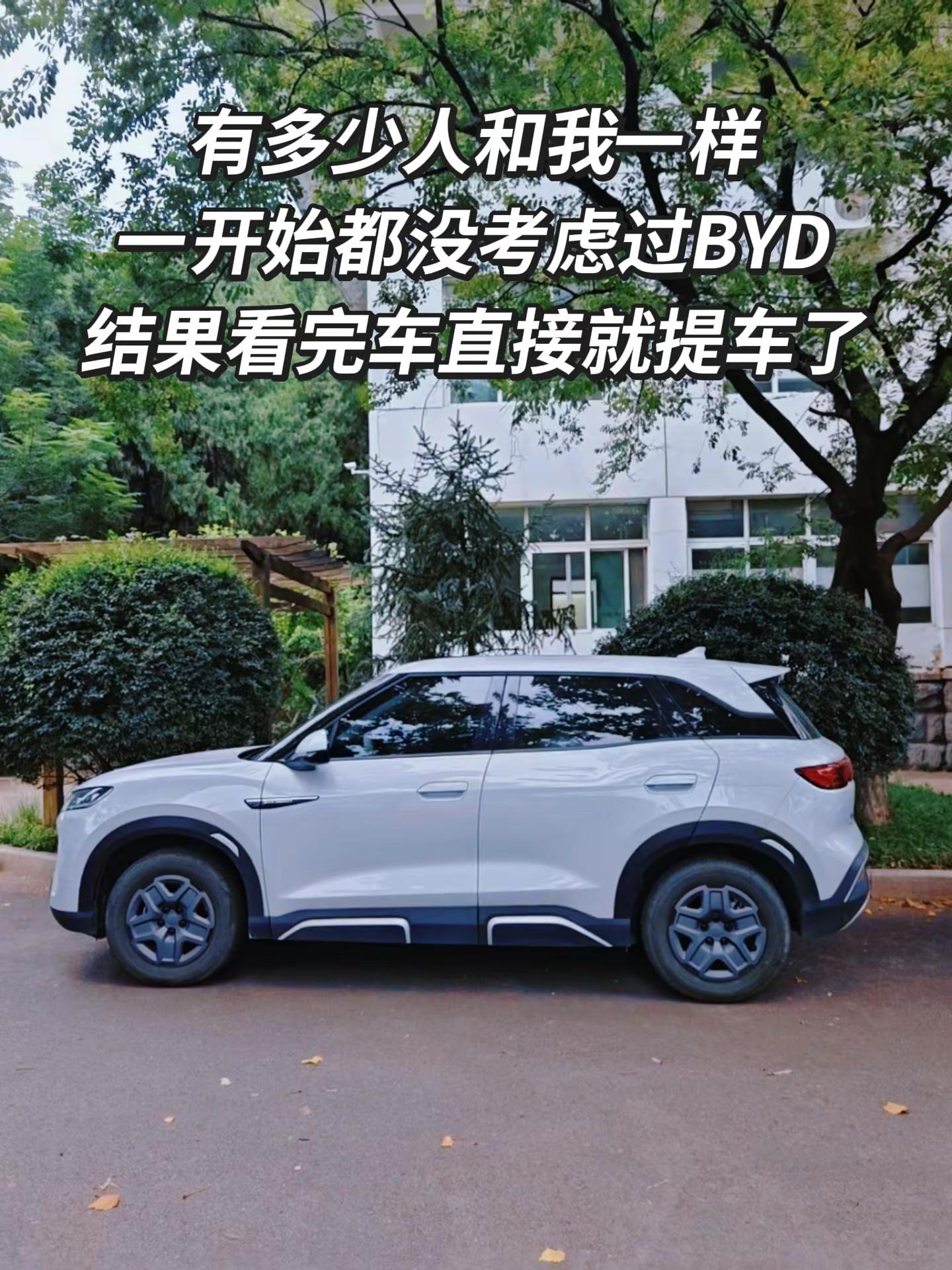 直接被迪子圈粉了。比亚迪 元UP