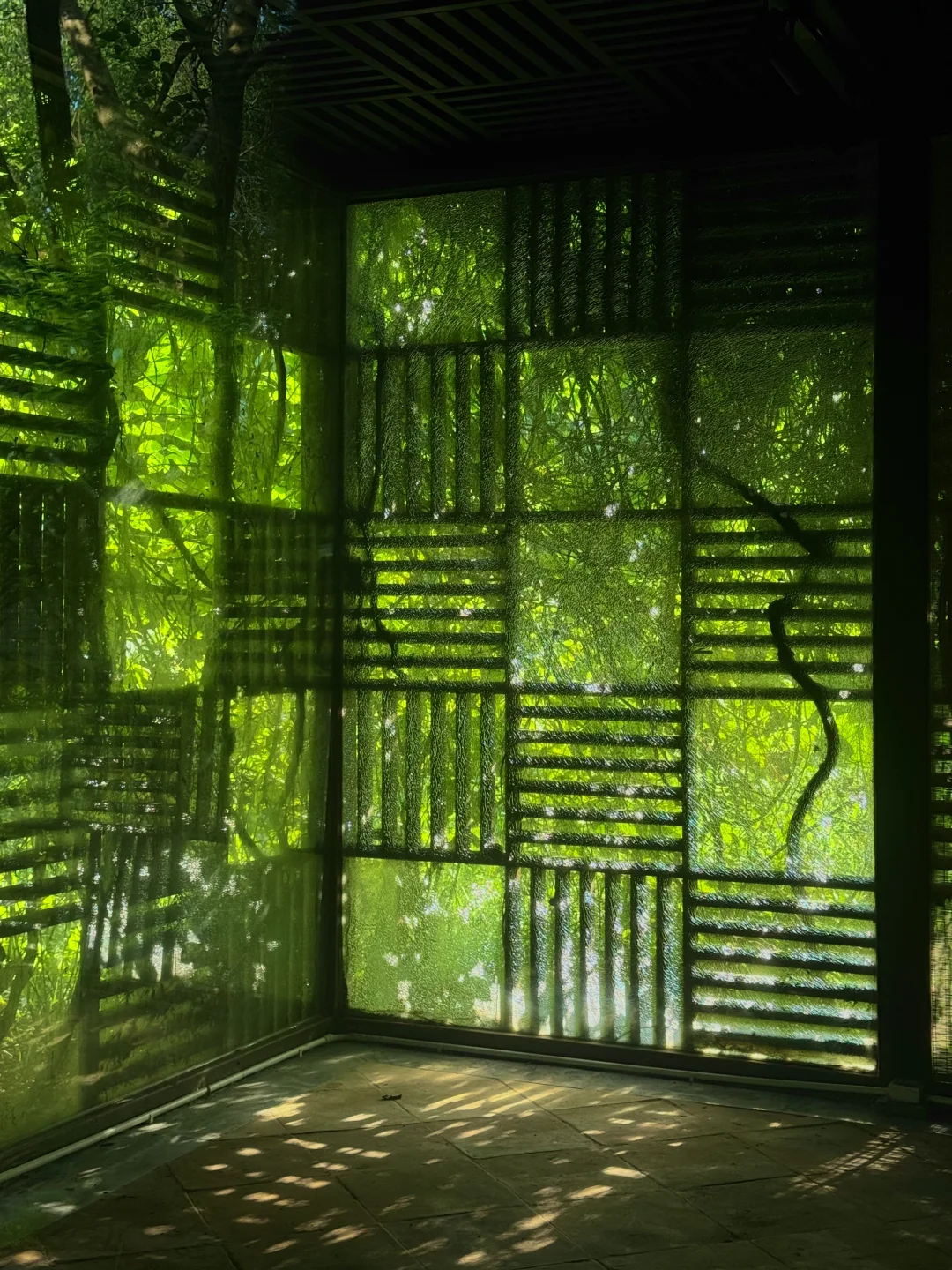 广州这个公园的秋天🌿绿意与鲜花并存好治愈