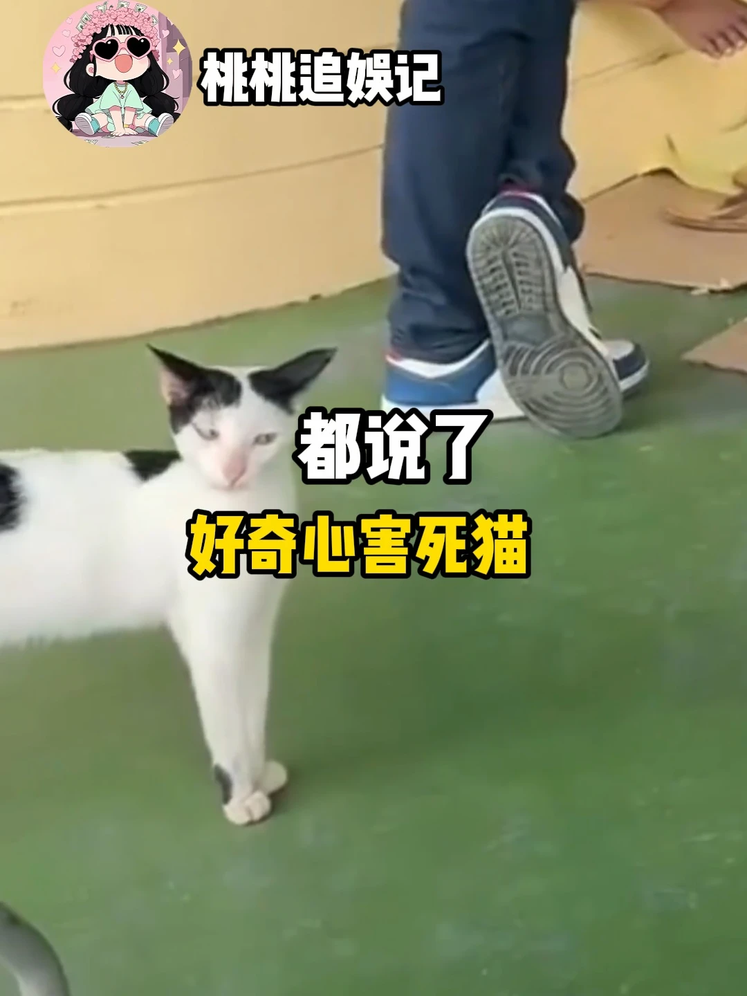 都说了好奇心害死猫了