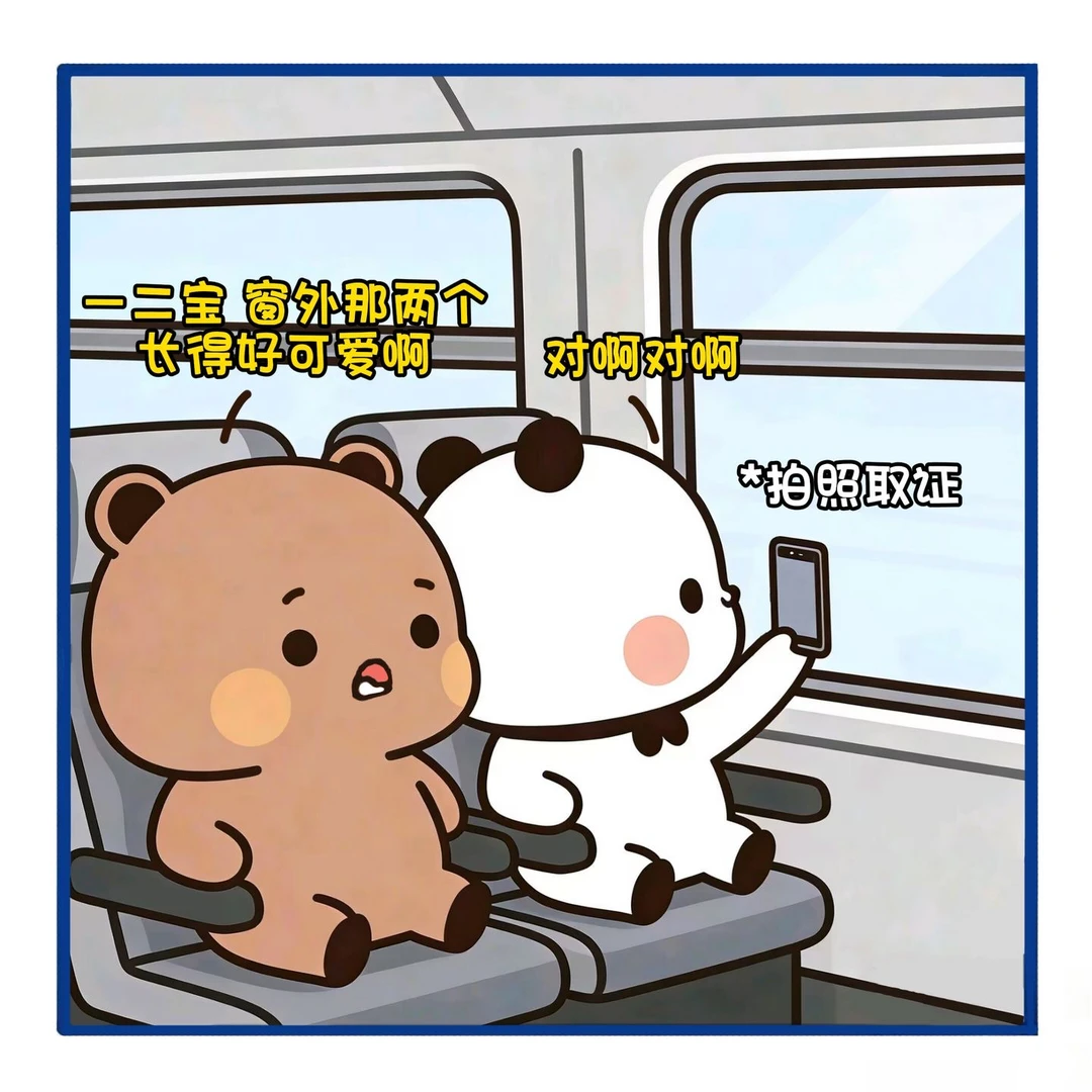 窗外有两只小熊好可爱呀！