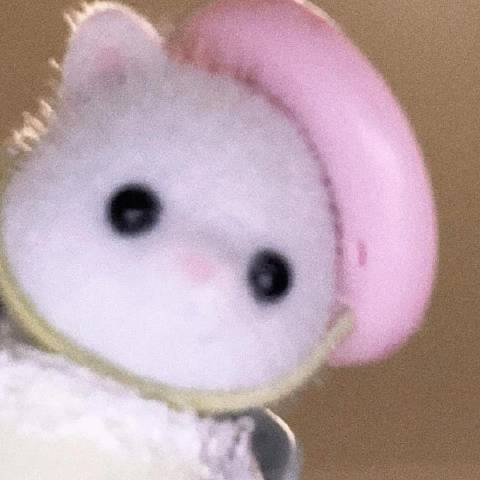 银友夜谈生活
