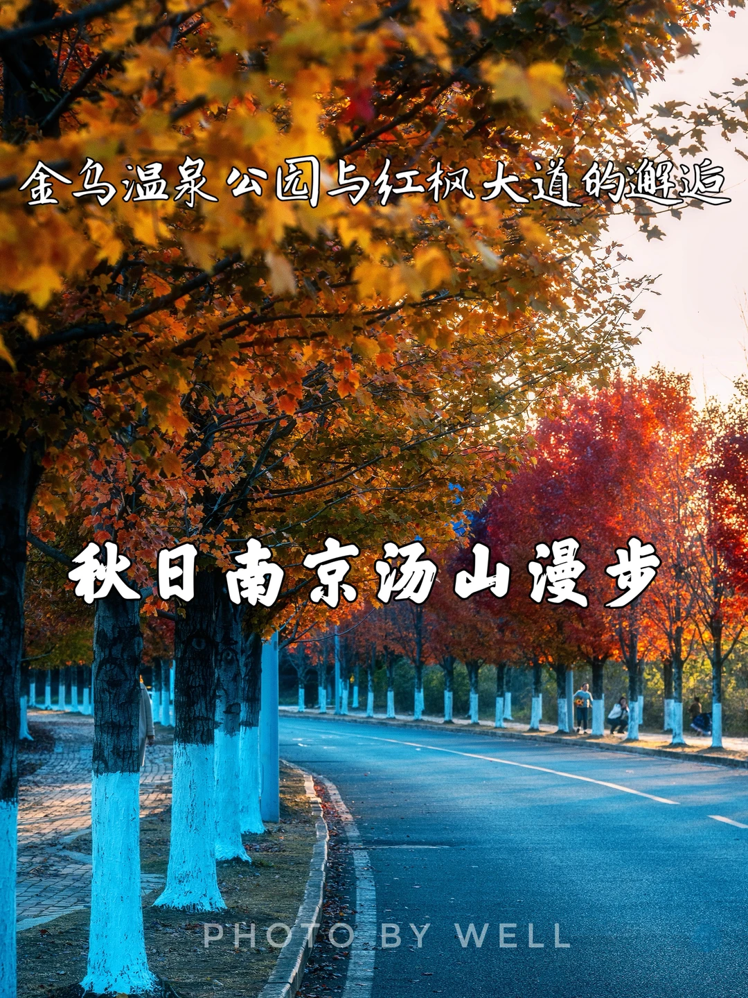 秋日南京汤山漫步——金乌温泉公园与红枫大道