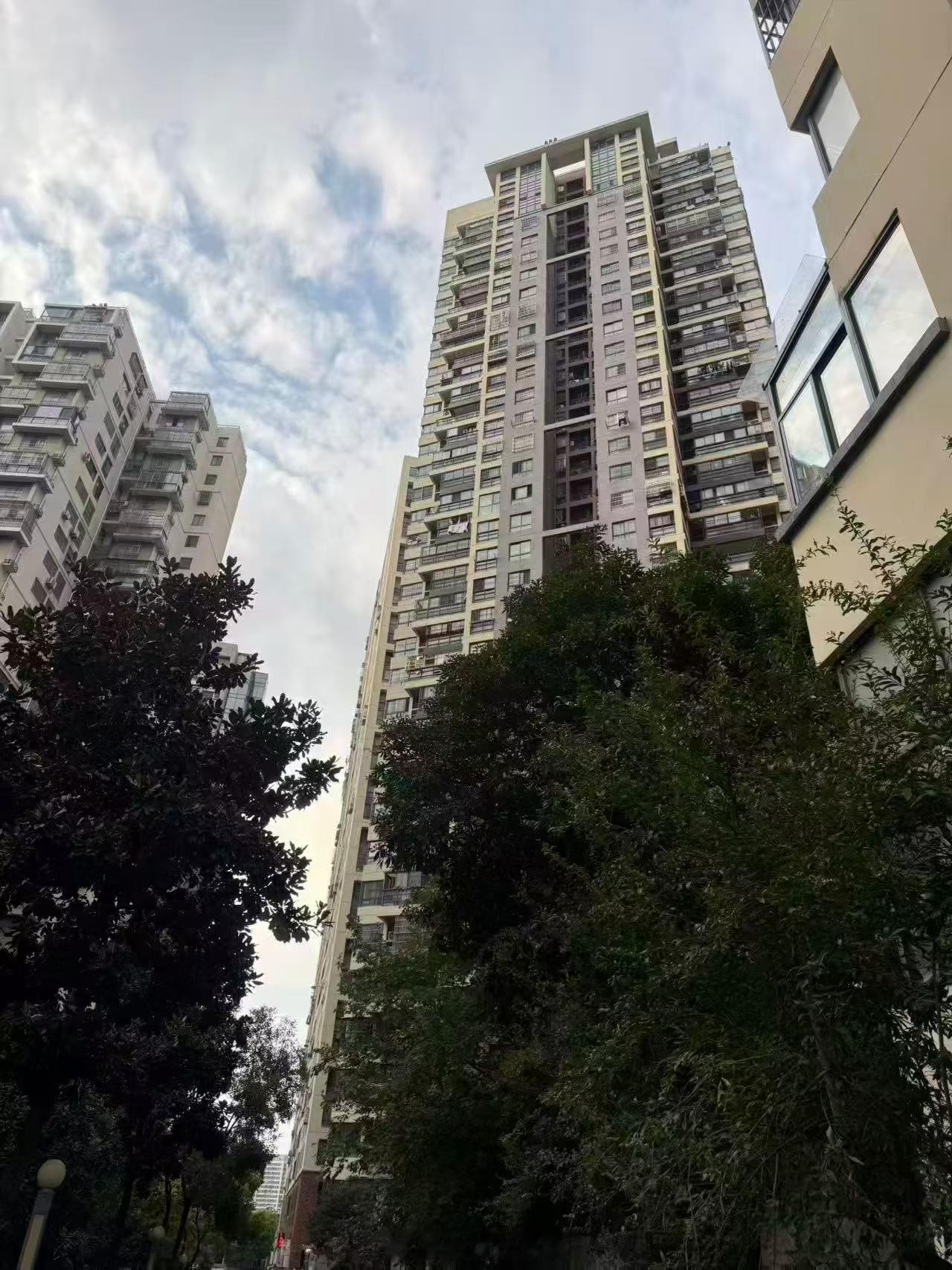 这两年确实很少再看到新建小区盖这样的大高层了~ ​​​