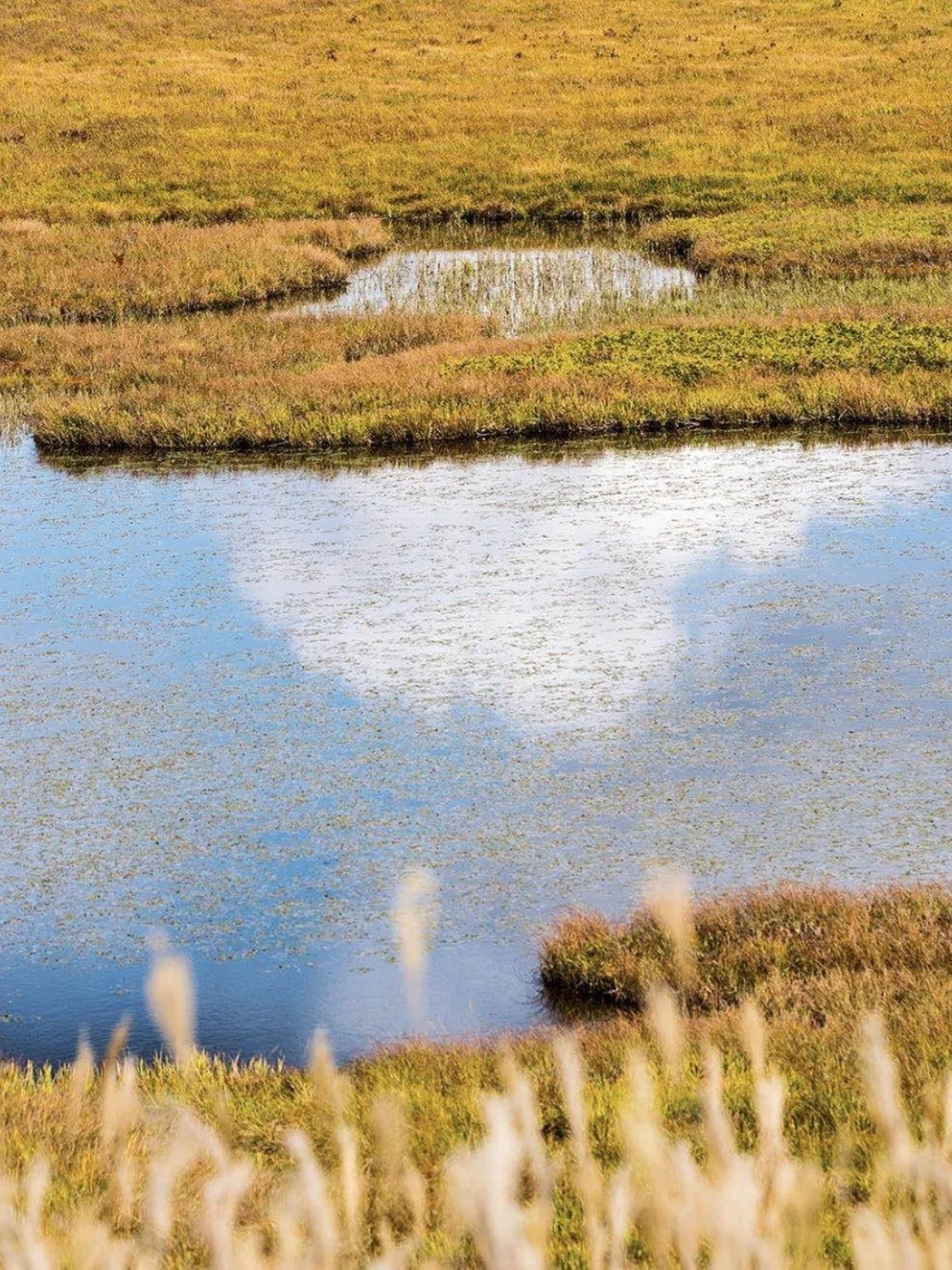 日本长野县|传承万年最旺盛最朴素的生命力
