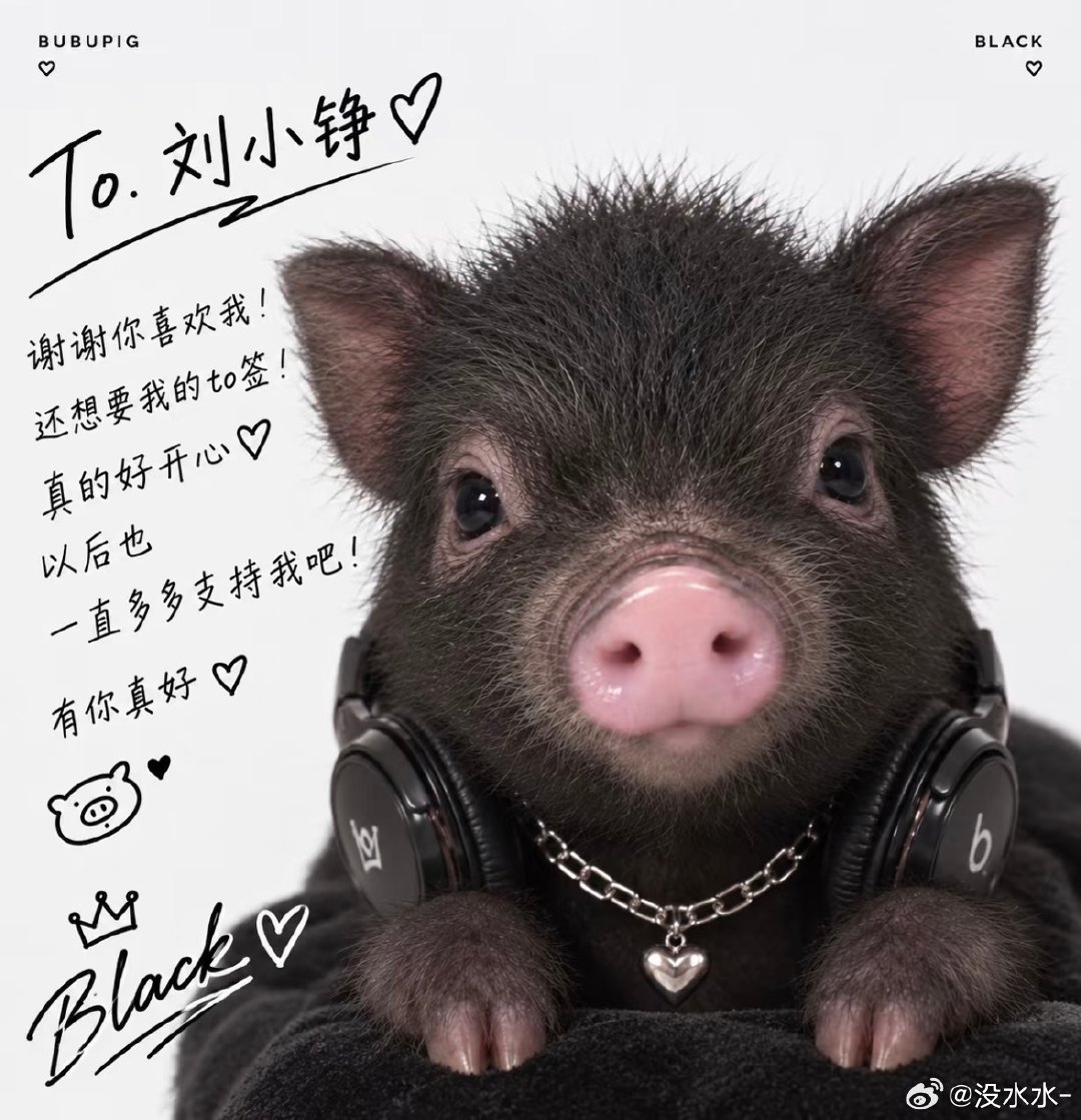 我给刘铮拿到了black的to签好萌呀呀呀 ​