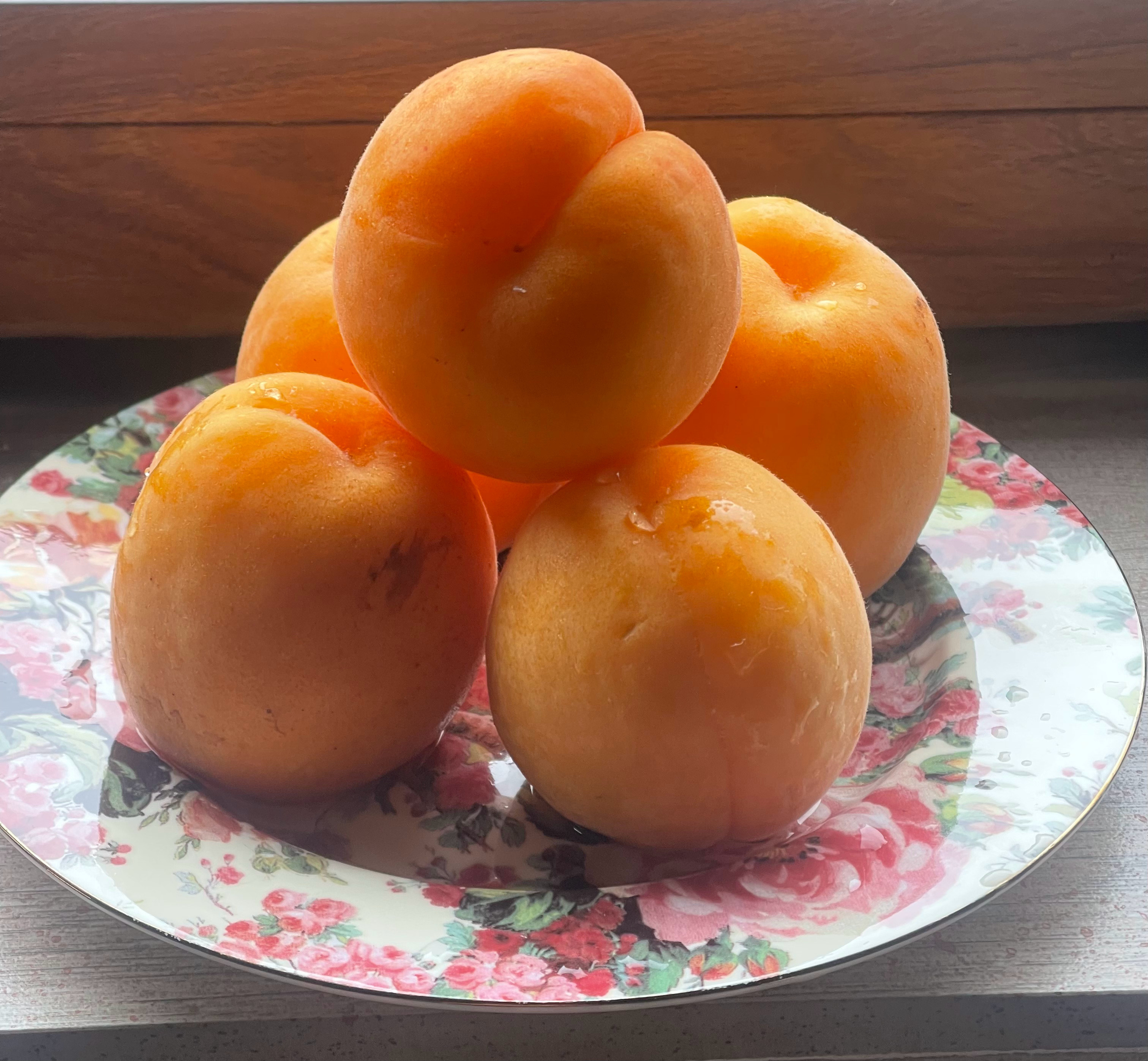 杏子熟了，个头很大，口感极好。 ​​​
