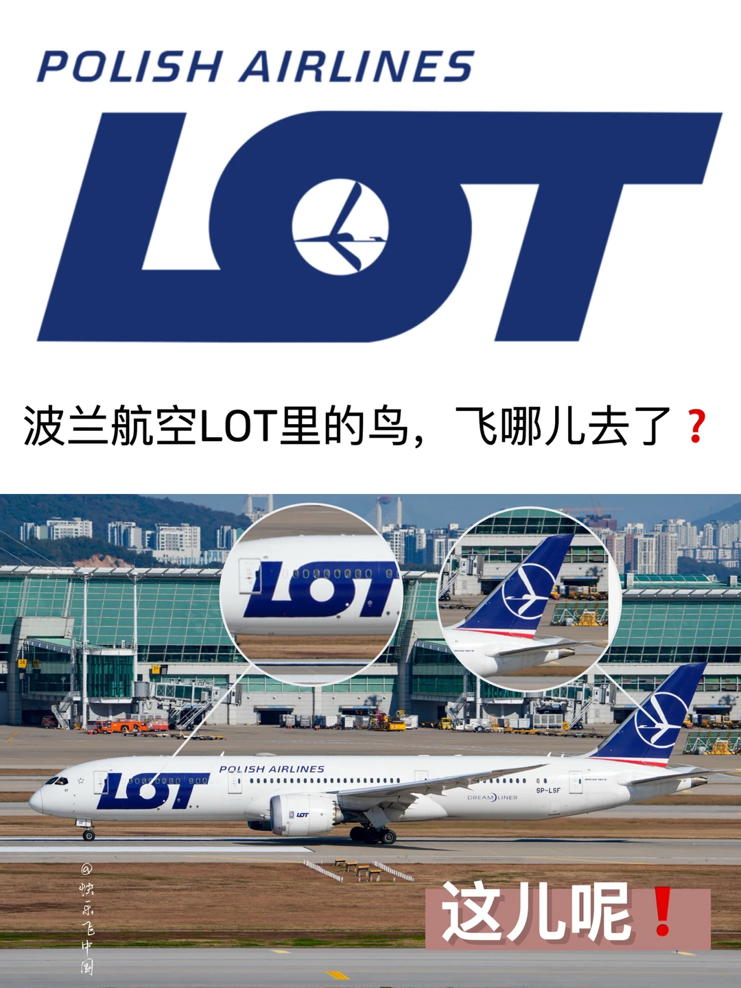 波兰航空logo：LOT里的鸟，飞哪儿去了❓