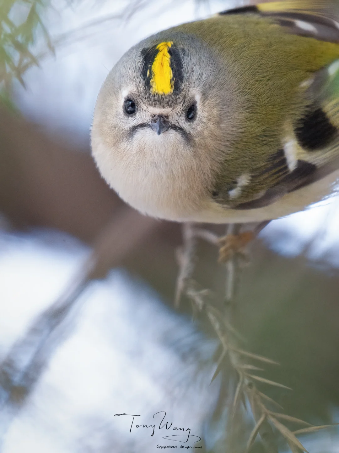 ☹️☹️☹️☹️☹️咱就是说能不能开心一点