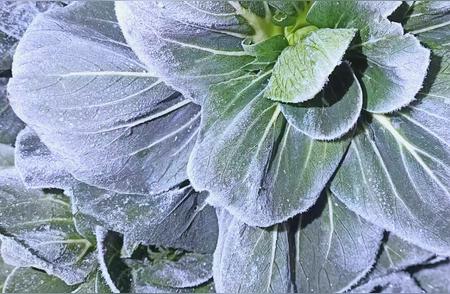 现在的年轻人到底在想什么 当下的年轻男女为何恐婚？8/90年代的男女...