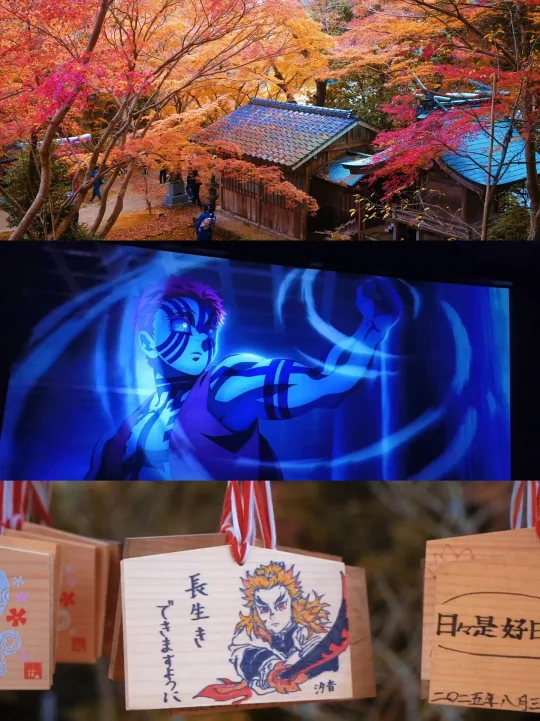 鬼刃灶门炭治郎本命神社！300棵红枫燃爆！