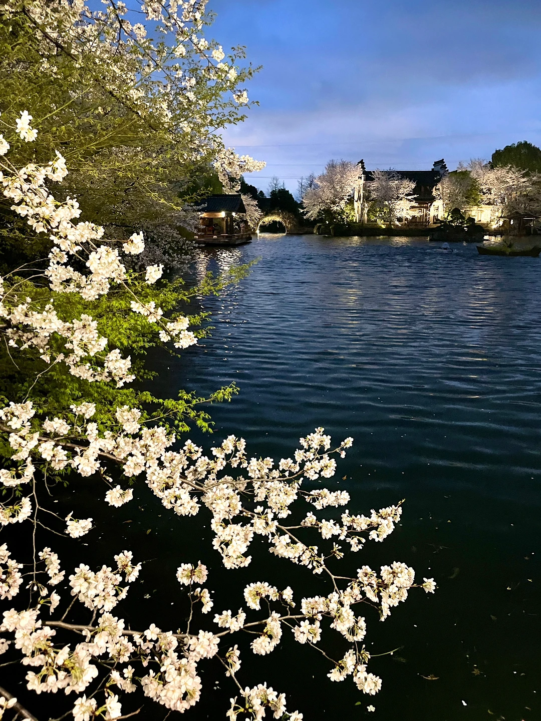 2024春夏秋冬live📸那些治愈我的四季瞬间