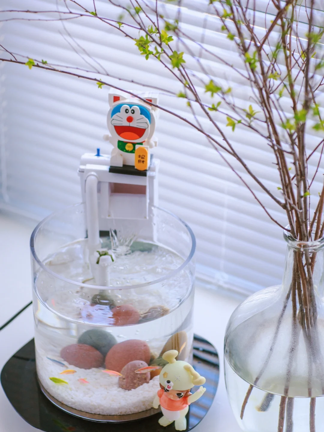 宅家日常｜春天来了给鱼缸换个彩色心情