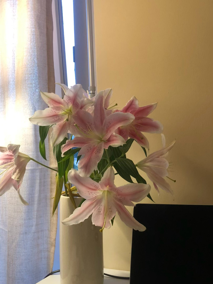 苹果味好好喝 ​
