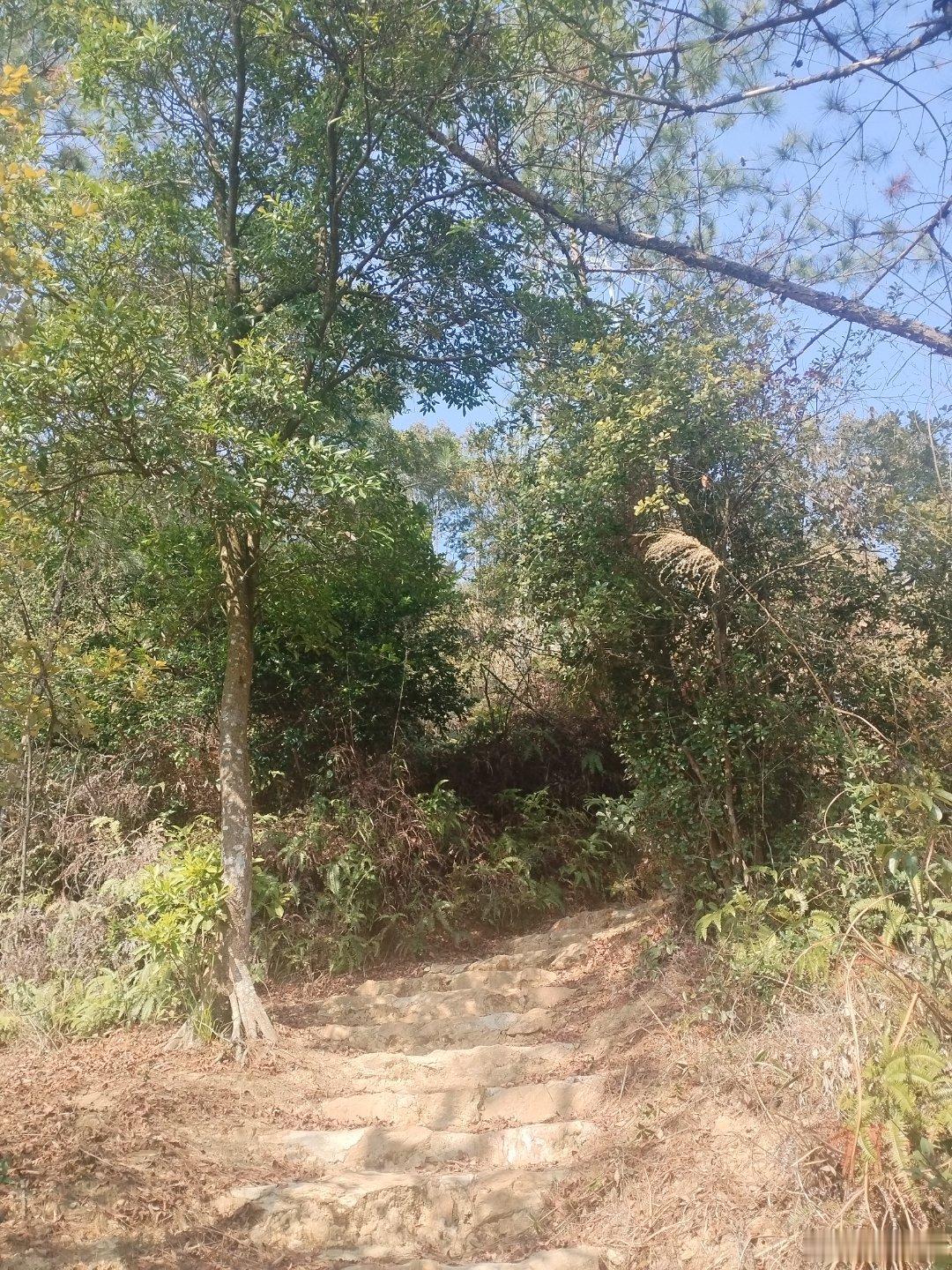 永春大鹏山风景区&大鹏山徒步登山道&登山道——原本大鹏岩将有上下岩，相传明朝嘉靖年间柴镳毁佛时下岩没能逃过此劫，上岩因有皇帝御赐‘圣旨牌’而保护下来。  ​