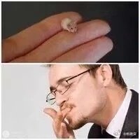 我对桃晚安 ​