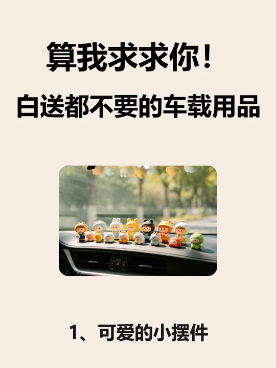 你买车后都在车上配了哪些车载用品