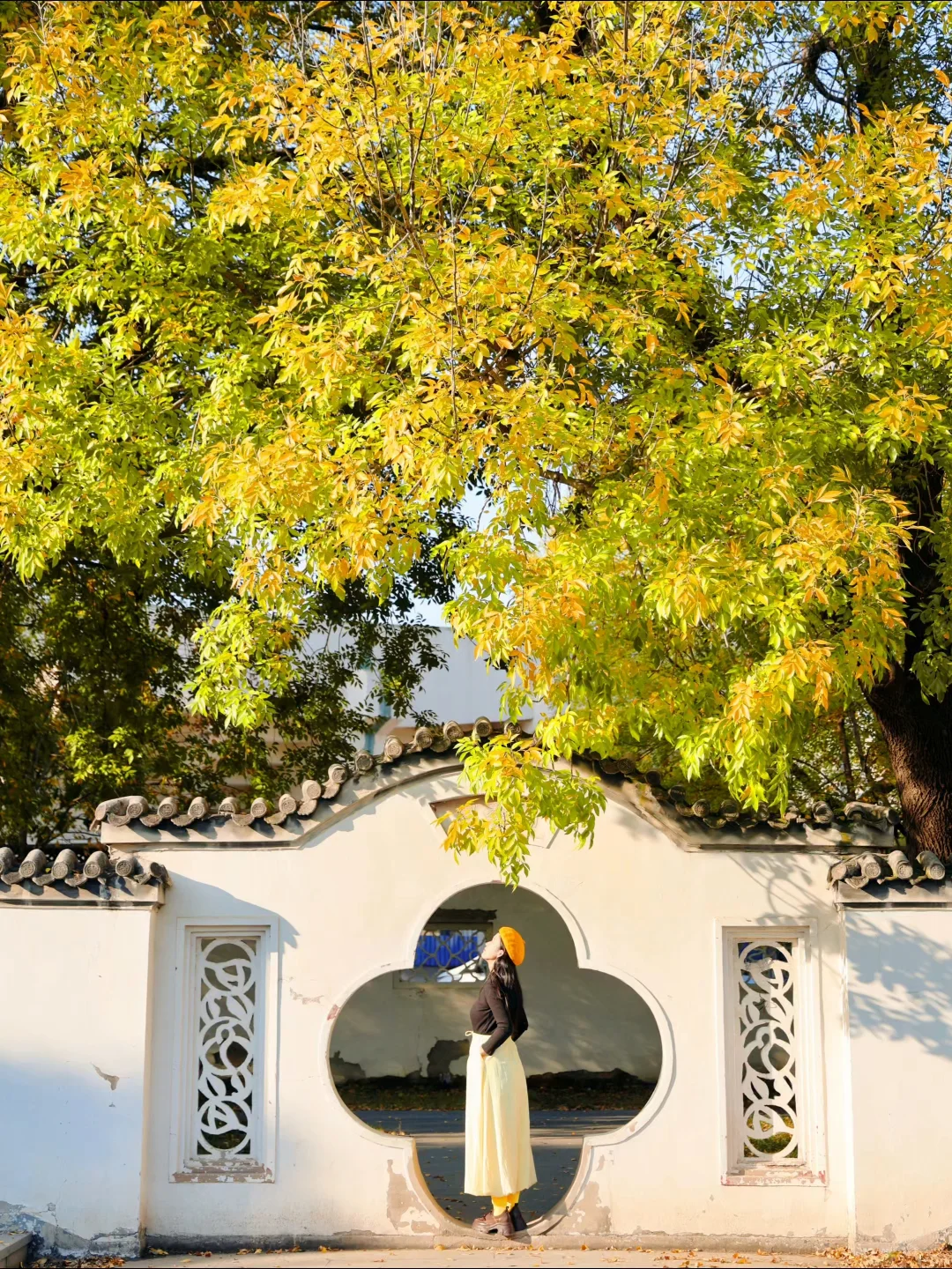 为了这❶❽张图特意去了宁园！附路线