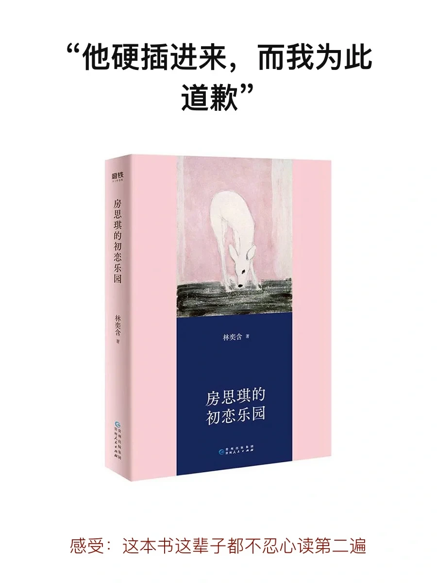 《房思琪的初恋乐园》再没有勇气看第二遍的书