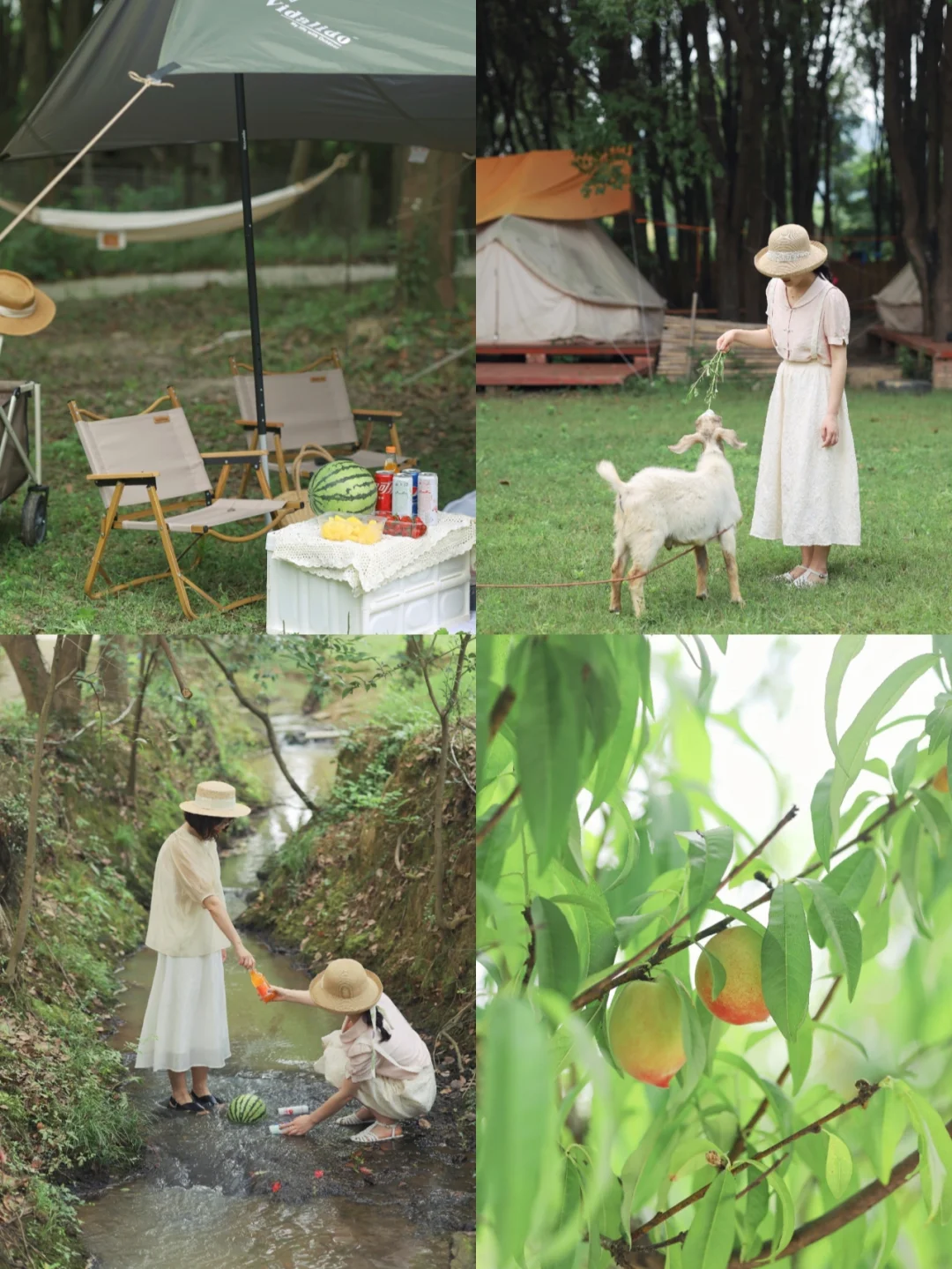 武汉露营/1H即达法式田园❗摘果喂羊超惬意