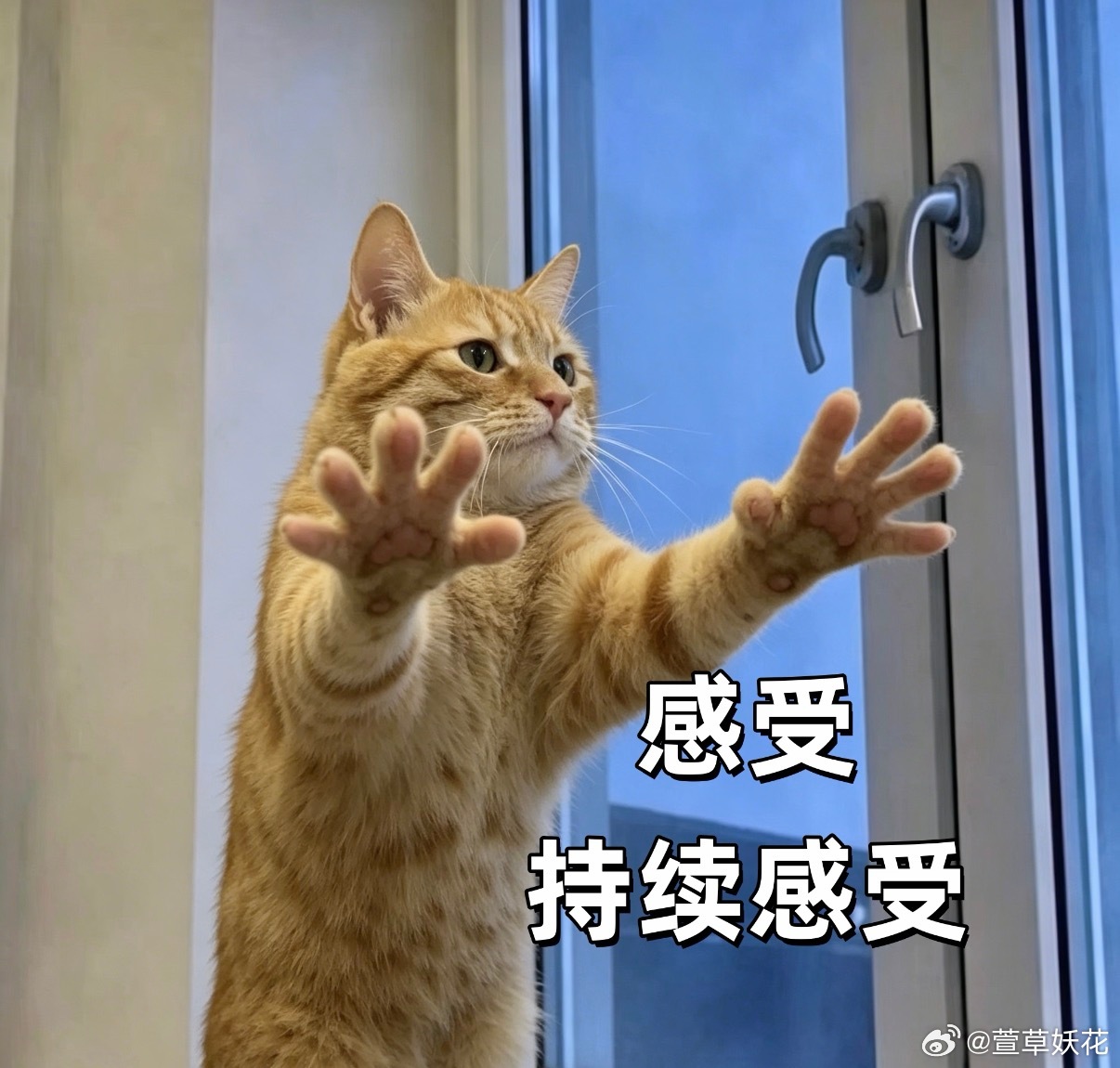 兜崽让我陪他画画，我说我要画爸爸、我、兜兜。我刚画了一个他的头，兜崽激动：“不要不要，你不要画我！！我给你涂掉！你画高丑猫，你不要画我！”我：？[笑cry][笑cry][笑cry]3 岁啊啊啊啊，太像个人了，感慨。怎么突然就像个人了，3 岁真的就是一个坎儿，而且还会突然用大人的筷子了。 ​​​