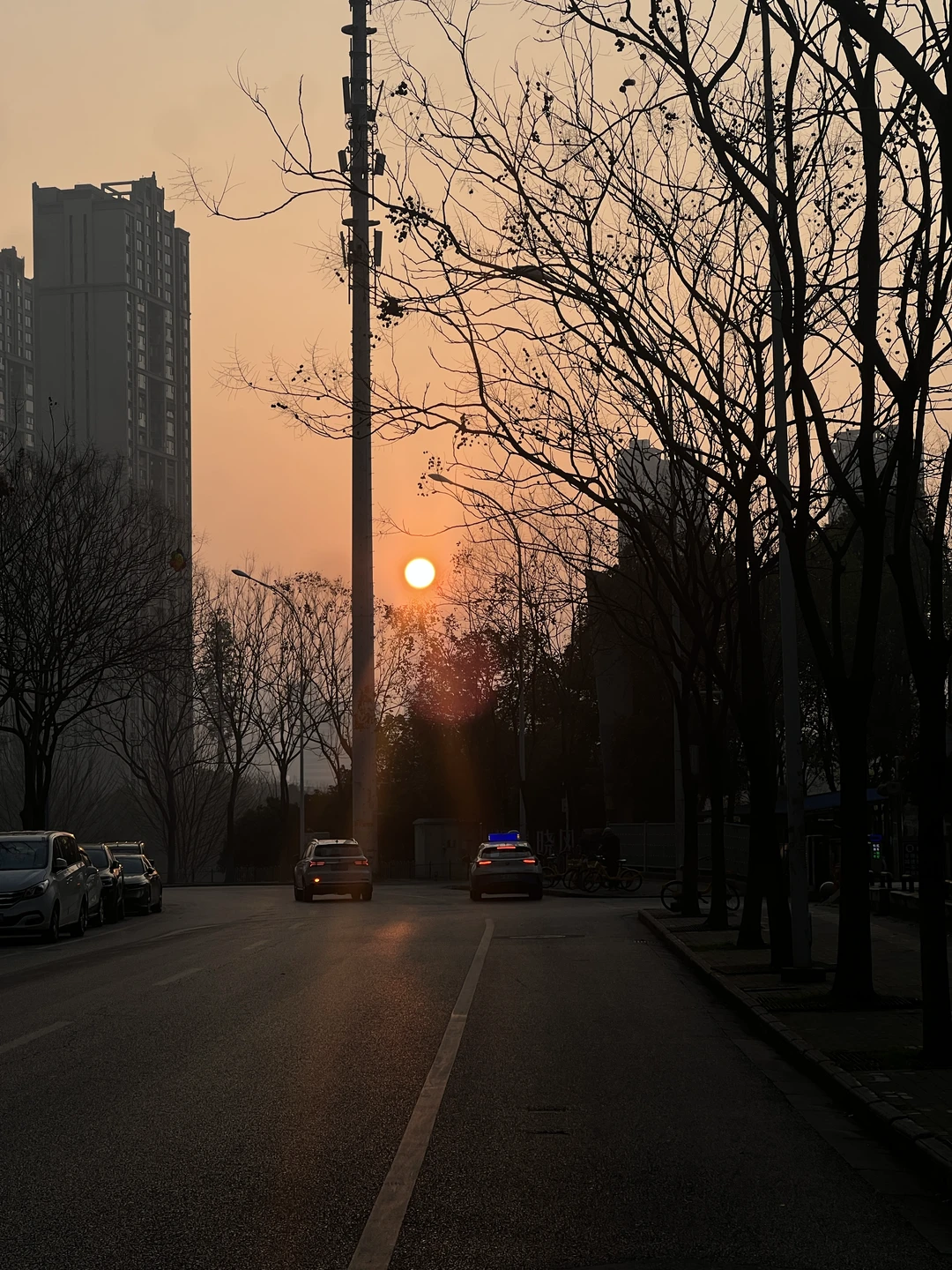 晨跑5公里，舒服的不得了