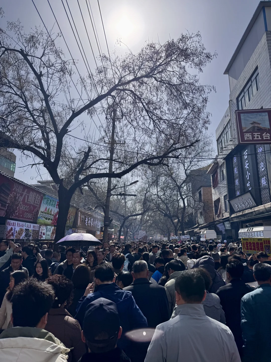 不是不推荐洒金桥嘛？为什么这么多人‼️