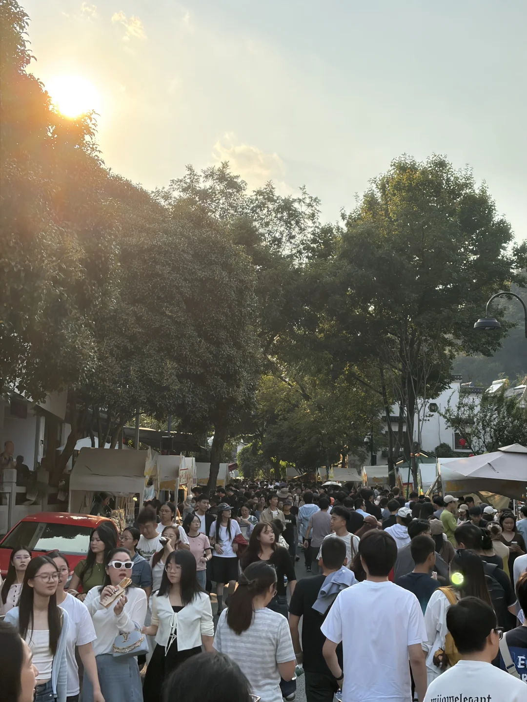 10.11，今天的满觉陇大概有3亿人吧……