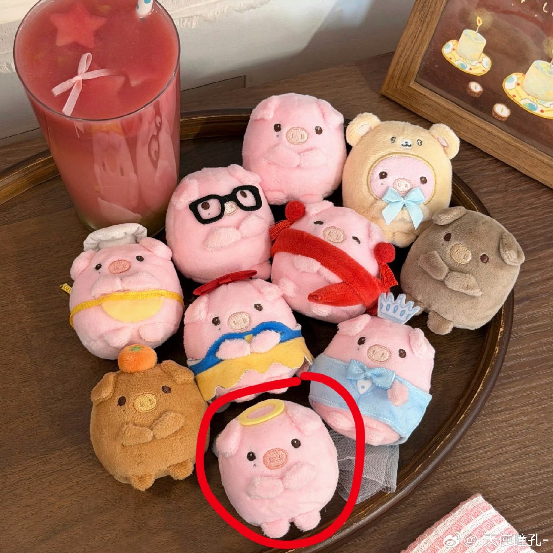 #张极周边中转站[超话]#  蹲蹲这只天使猪 ​