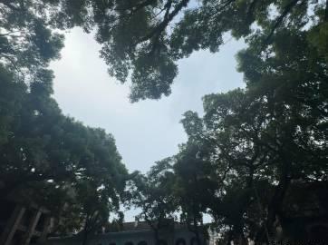 下雨天不出片的沙面