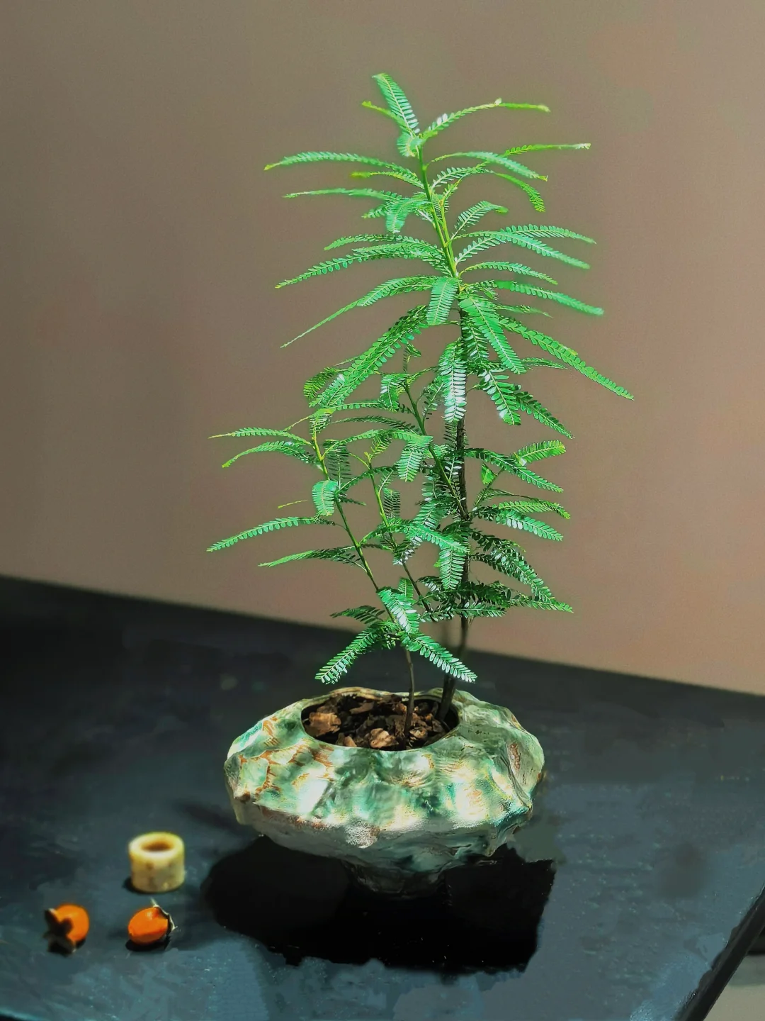 “没点艺术细胞还真刷不到我”