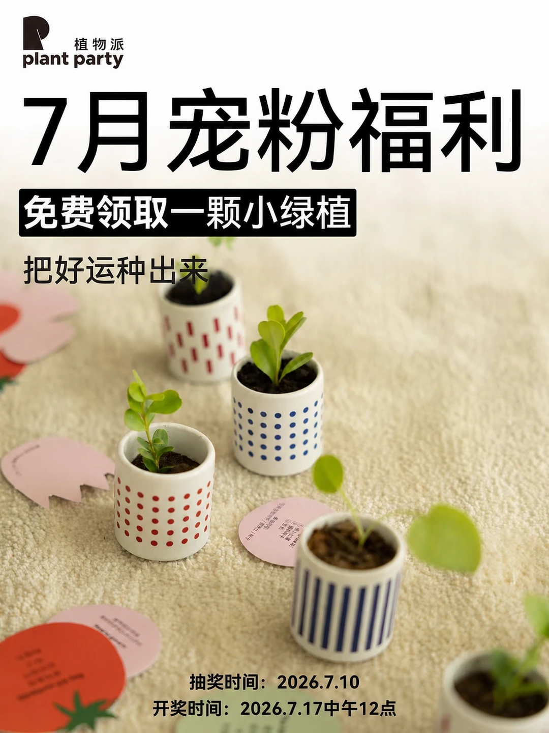 📢7月宠粉福利来啦🎁免费领好运绿植🪴