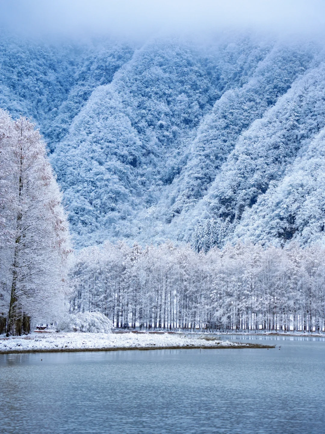 陕西人有自己的长白山……太震撼了！！