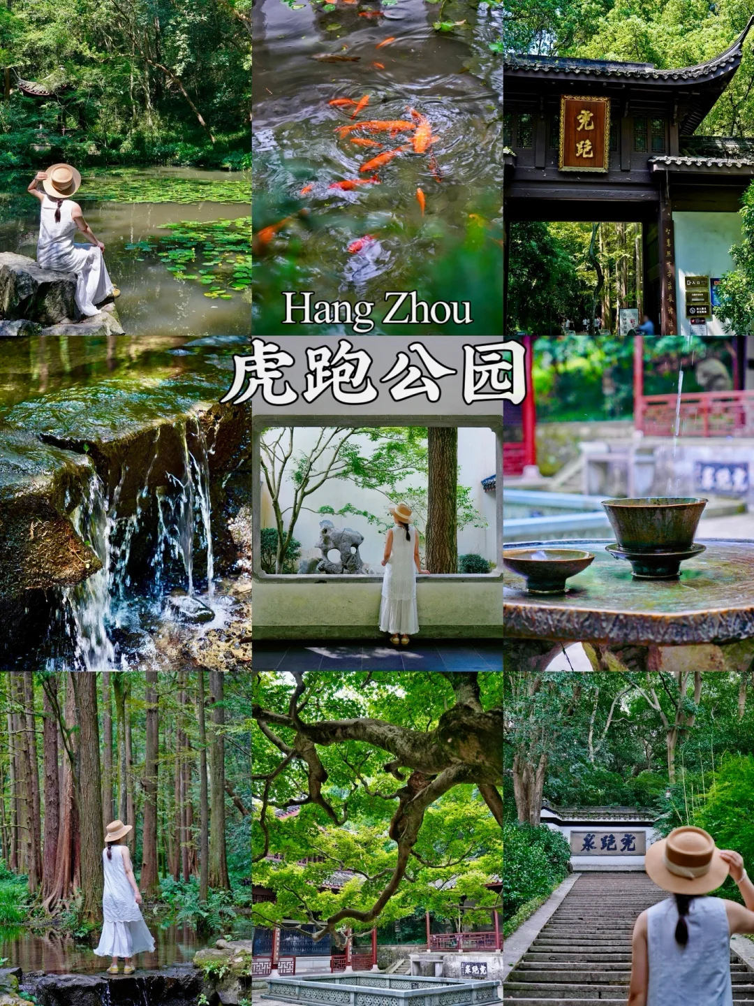 杭州！虎跑公园🌳藏在西湖边的绿色秘境🍃