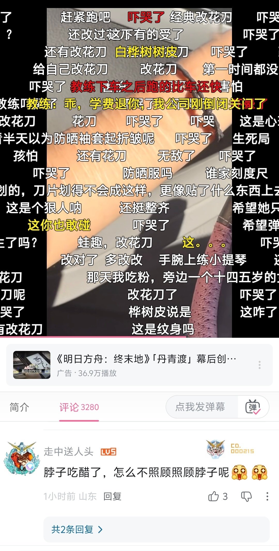 教练偷拍紫参女生驾车挂网上，评论区和弹幕还嘲讽别人改花刀，好温良 ​