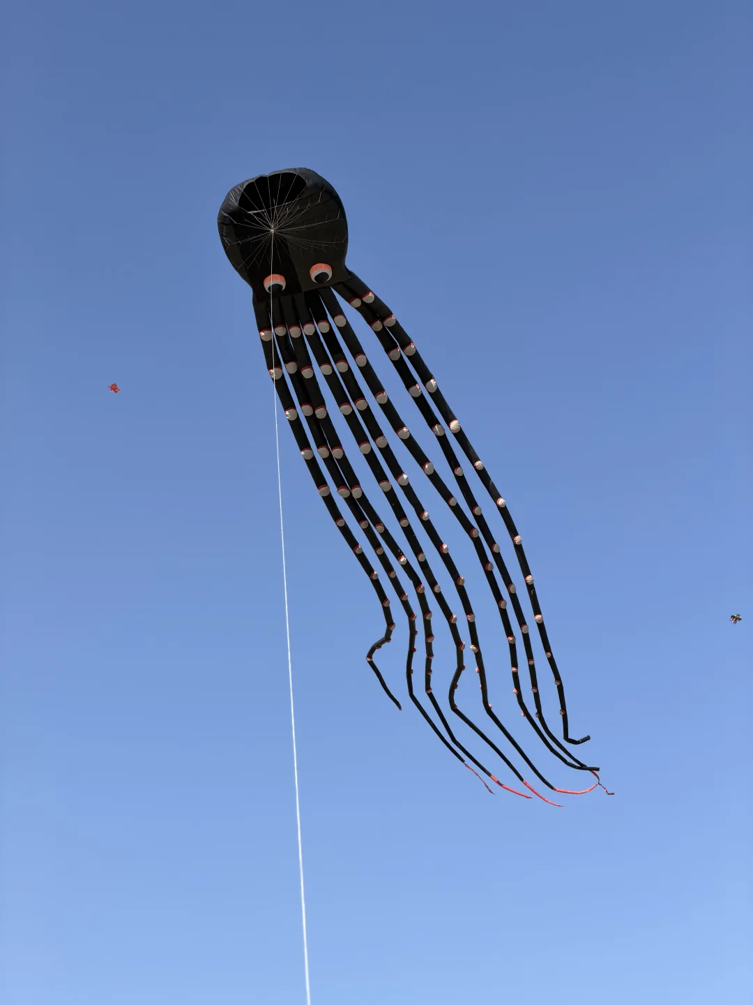 随风舞动的触角，放风筝真的好快乐哈🌈