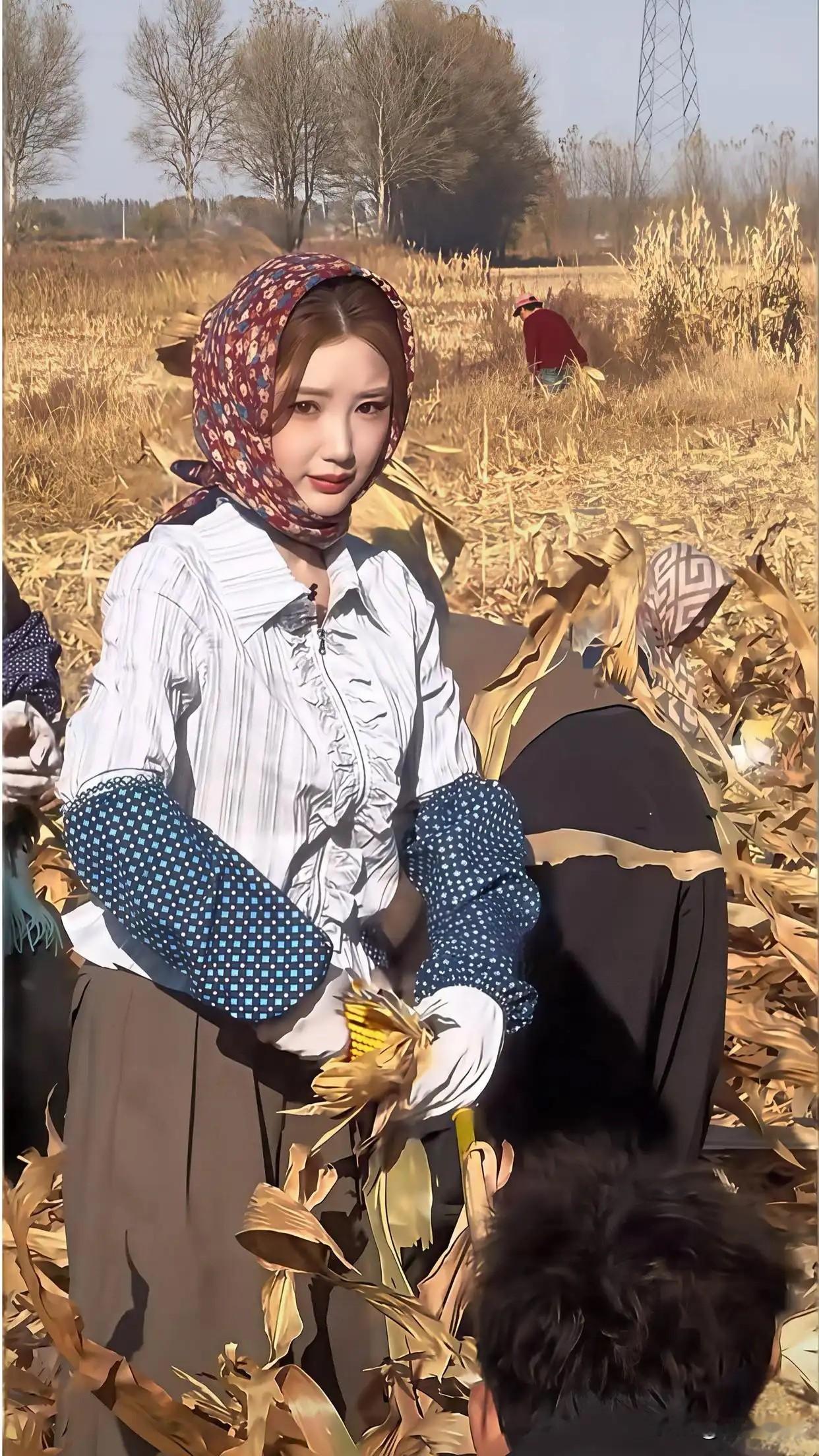 毛晓彤下地扒苞米，花头巾配条纹衬衫，网友：玉米地里的一支花
10月24日，有网友在吉林四平拍到毛晓彤在玉米地里扒苞米。花头巾一扎，条纹衬衫一穿，再戴上手套，她跟着当地老乡一头扎进玉米地，剥起苞米来有模有样。

平时在荧幕上精致亮眼的她，一到地里就“不端着”了：低头忙活，不挑角度，汗水和泥点都顾不上。