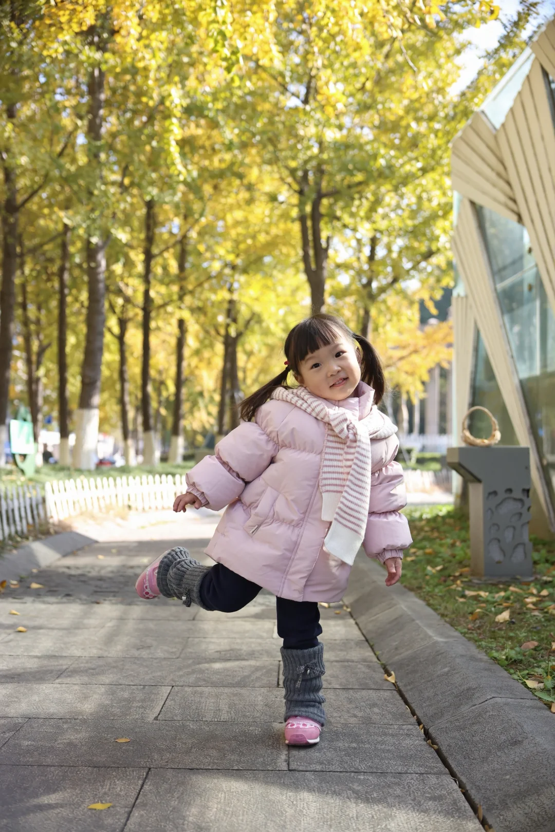 带娃捡银杏叶的快乐，比买玩具香100倍🍂