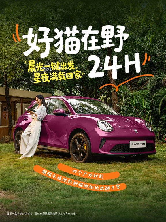 和好猫的24H，把时间交给山野