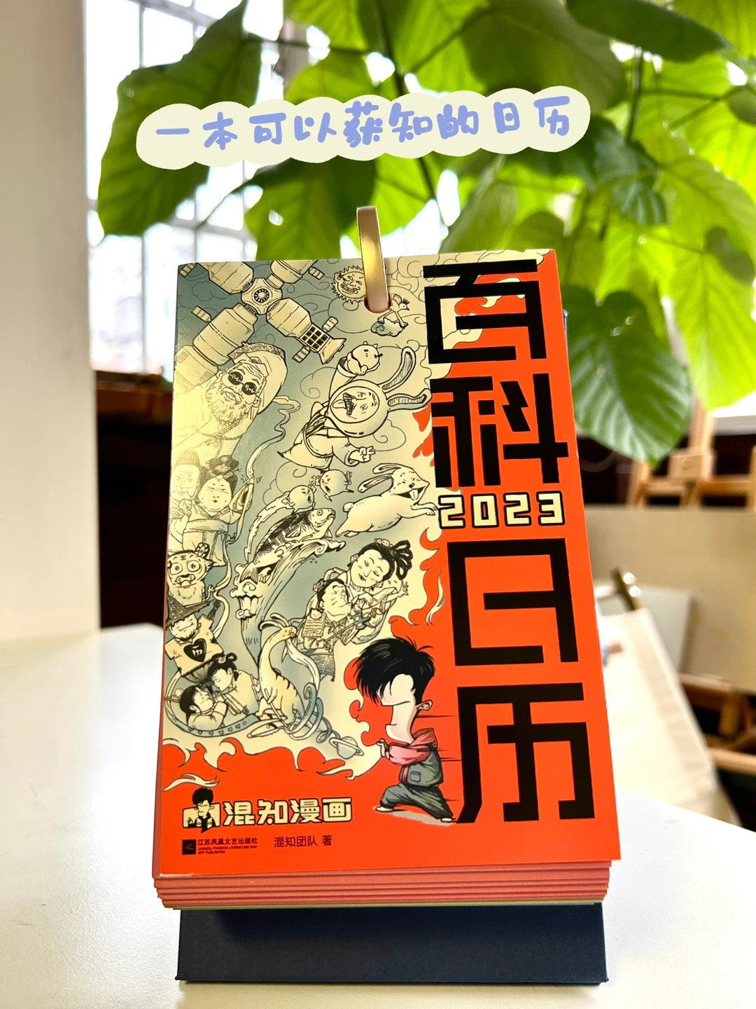 这本日历不会过期，可以看一辈子👍