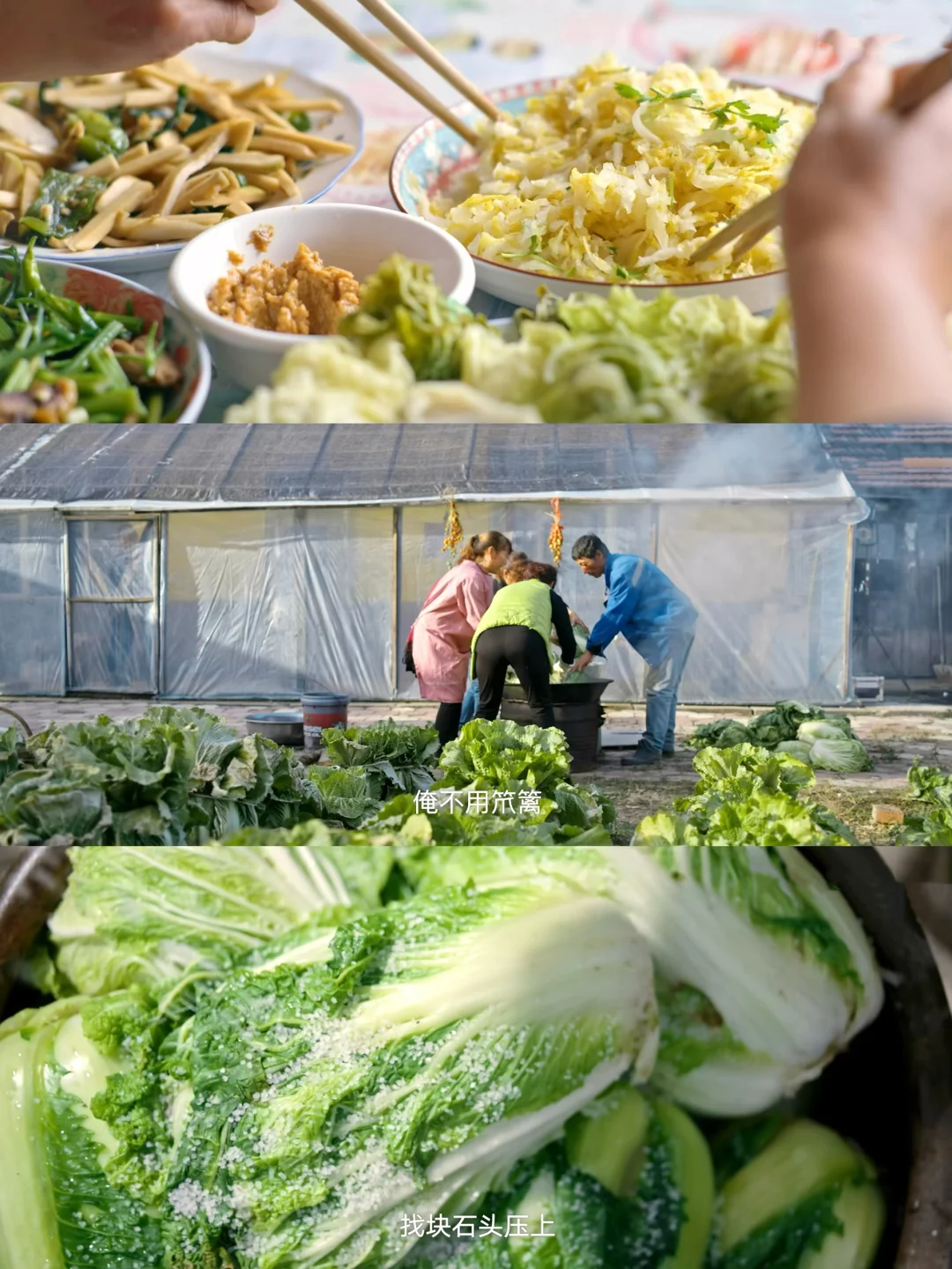 啊啊啊这也太治愈了😭第一集就直接封神