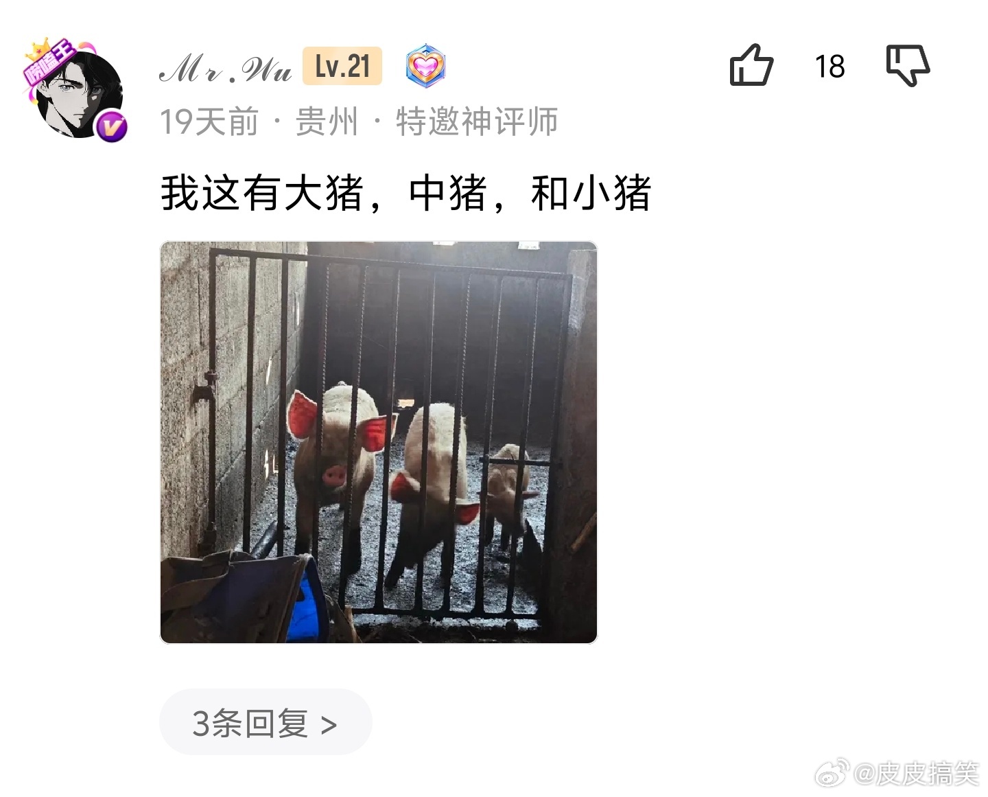 这是我的大咪、中咪、小咪和小小咪[泪奔] ​​​