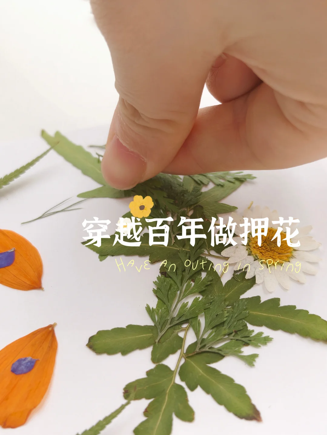 穿越百年做押花！团一大纪念馆七夕限定