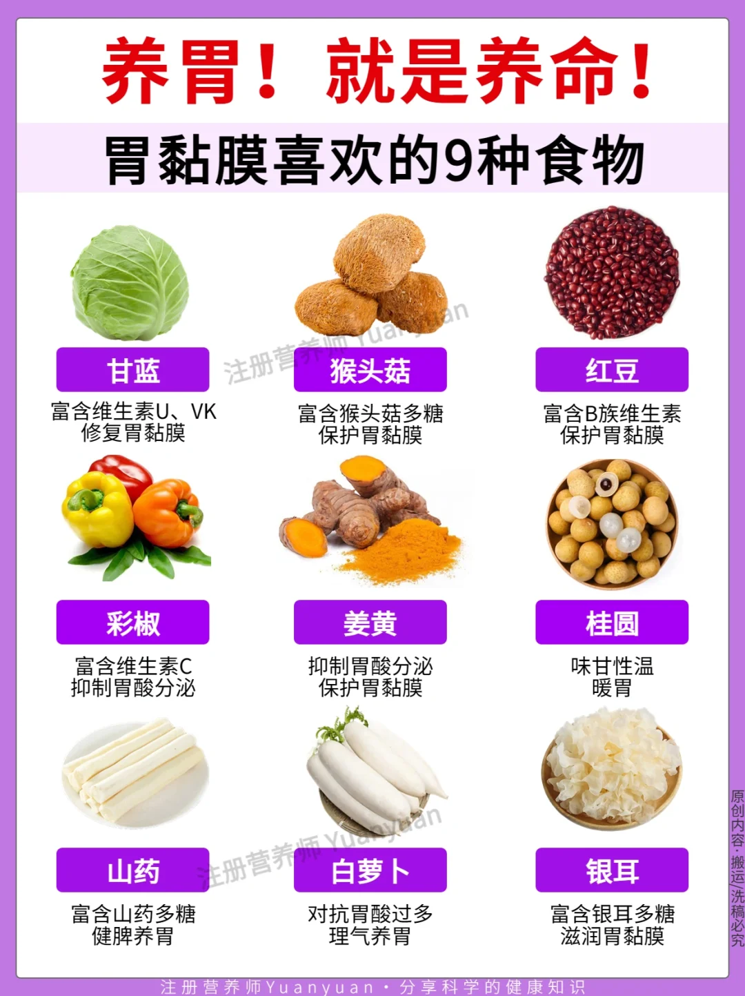 养胃如养命❗️ 超全护胃养胃攻略