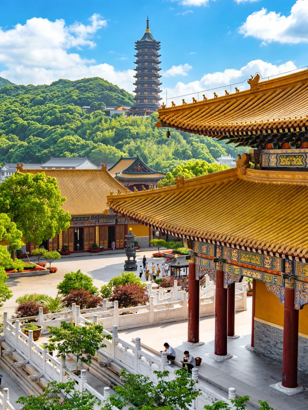 第一次来普陀山，请直接复制这条2日游路线‼️