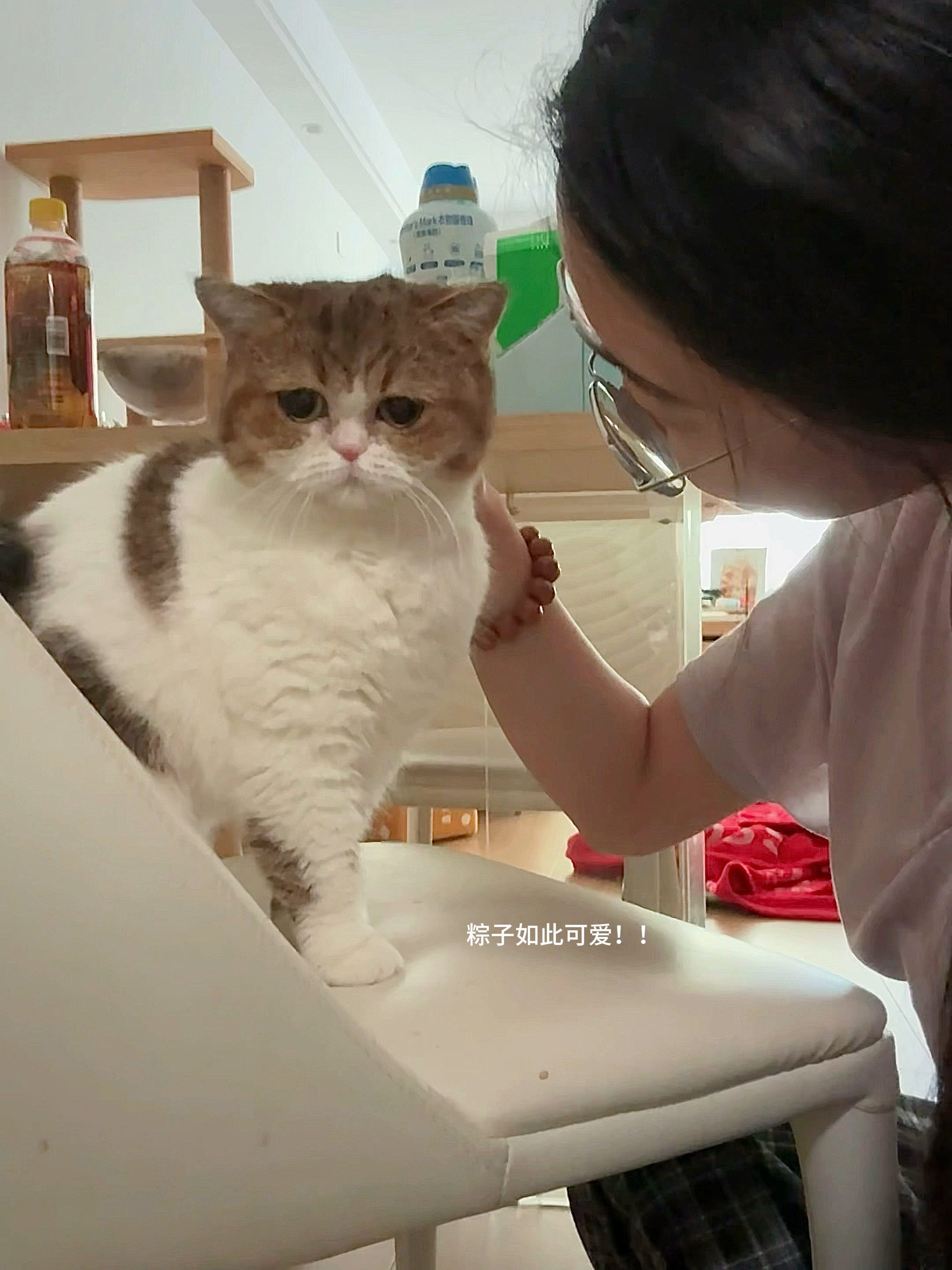 能解决的事急什么​不能解决的事那急什么 ​​​