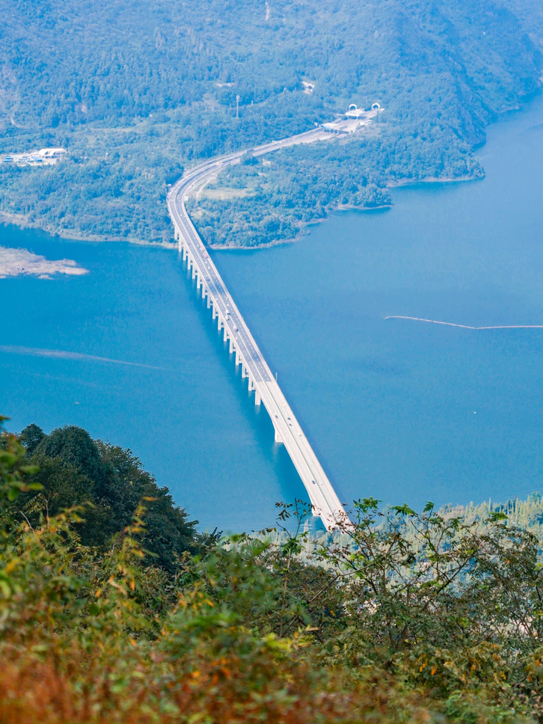 成都好天气不要错过这‼️20min抵达绝美山顶