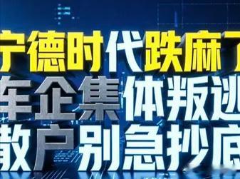 宁德时代跌麻了！车企集体“叛逃”，散户到底该不该跑？最近很多重仓宁德时代的投资者，心态彻底崩了。曾经稳如磐石的“宁王”，如今走出持续阴跌走势，股价不断刷新阶段新低，较高点回撤超35%，市值直接蒸发超6000亿，相当于一整个比亚迪的市值跌没了。比股价大跌更扎心的是行业基本面剧变：下游头部车企正在集体开启“去宁德化”浪潮，曾经一家独大的垄断格局，正在被彻底打破。很多散户此刻最纠结：趋势彻底走坏了吗？到底是割肉离场，还是逢低抄底？今天把底层逻辑讲透。一、车企集体“叛逃”，不再把命运交给宁王以前新能源车企，高端车型标配宁德时代电池，是行业共识、品质背书。但今年以来，整车厂态度彻底反转，自研电池、分流供应商成为主流操作。理想汽车动作最决绝：全新一代L8全系改用欣旺达电池，宁德时代彻底退出该车系；新款MEGA后续车型全面切换自研5C电池，彻底摆脱外部依赖，甚至重金增资电池厂商，绑定替代供应链。蔚来、小鹏同步跟进：蔚来持续自建电池产线，打造自研自产能力；曾经深度绑定宁德时代的小鹏，悄悄引入中创新...