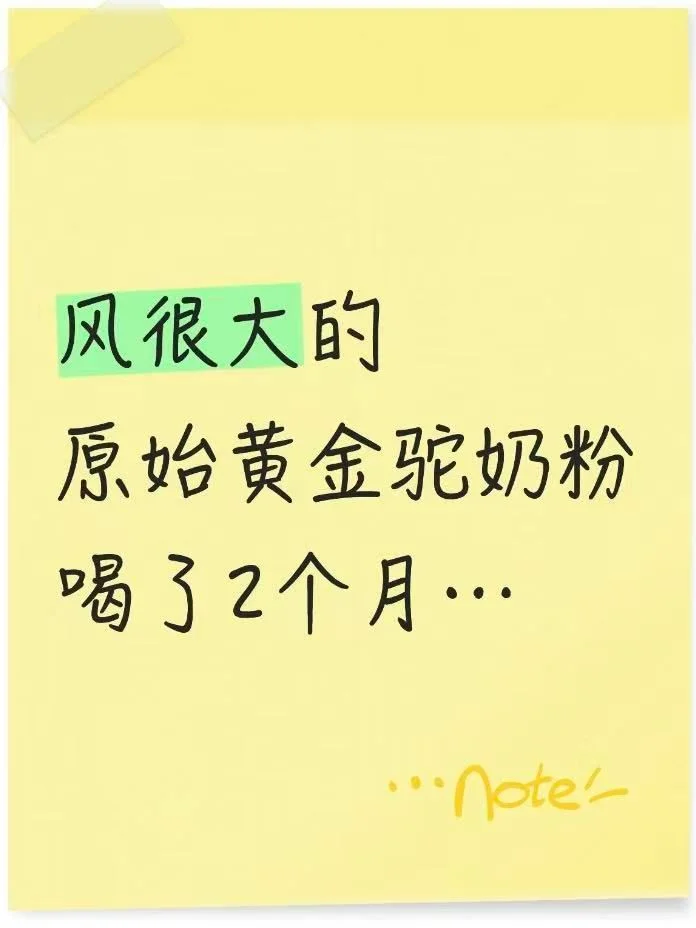 风很大的原始黄金驼奶粉喝了（已停喝）